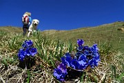 MONTE GARDENA (2117 m) dal Rif. Cimon della Bagozza, il 22 aprile 2015 - FOTOGALLERY